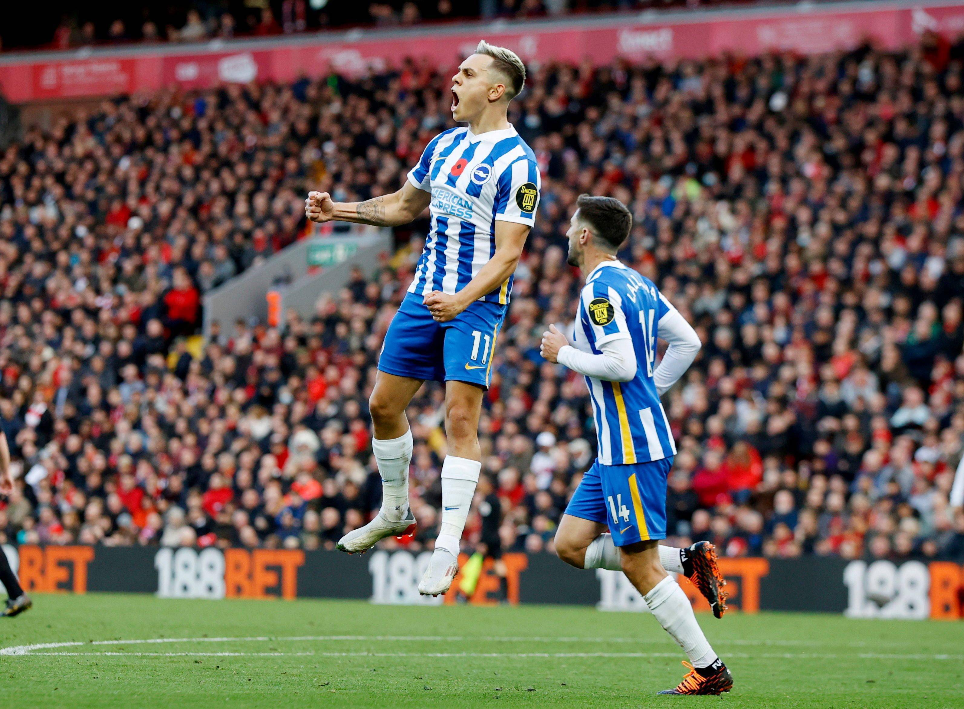 某些情况下 某些情况下